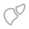 undefined Test Icon