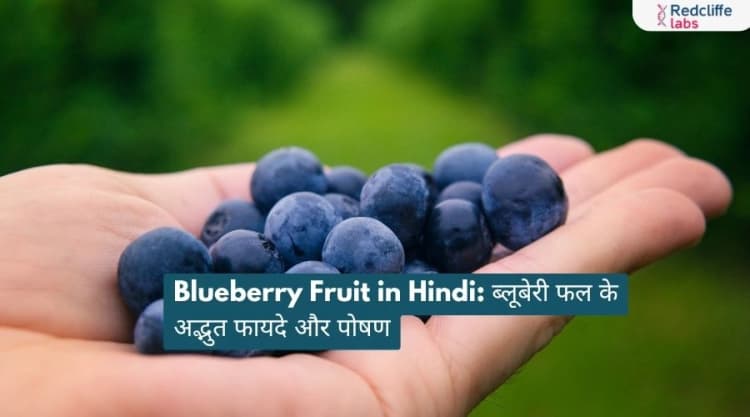 Blueberry Fruit in Hindi: ब्लूबेरी फल के अद्भुत फायदे और पोषण