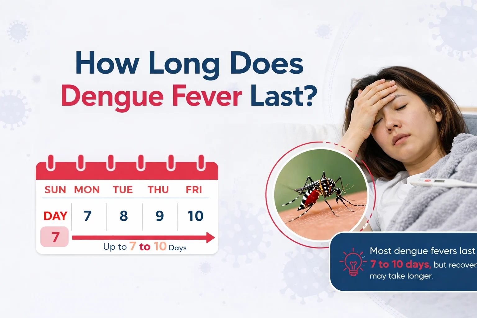 How Long Does Dengue Fever Last? Symptoms, Stages & Recovery Time