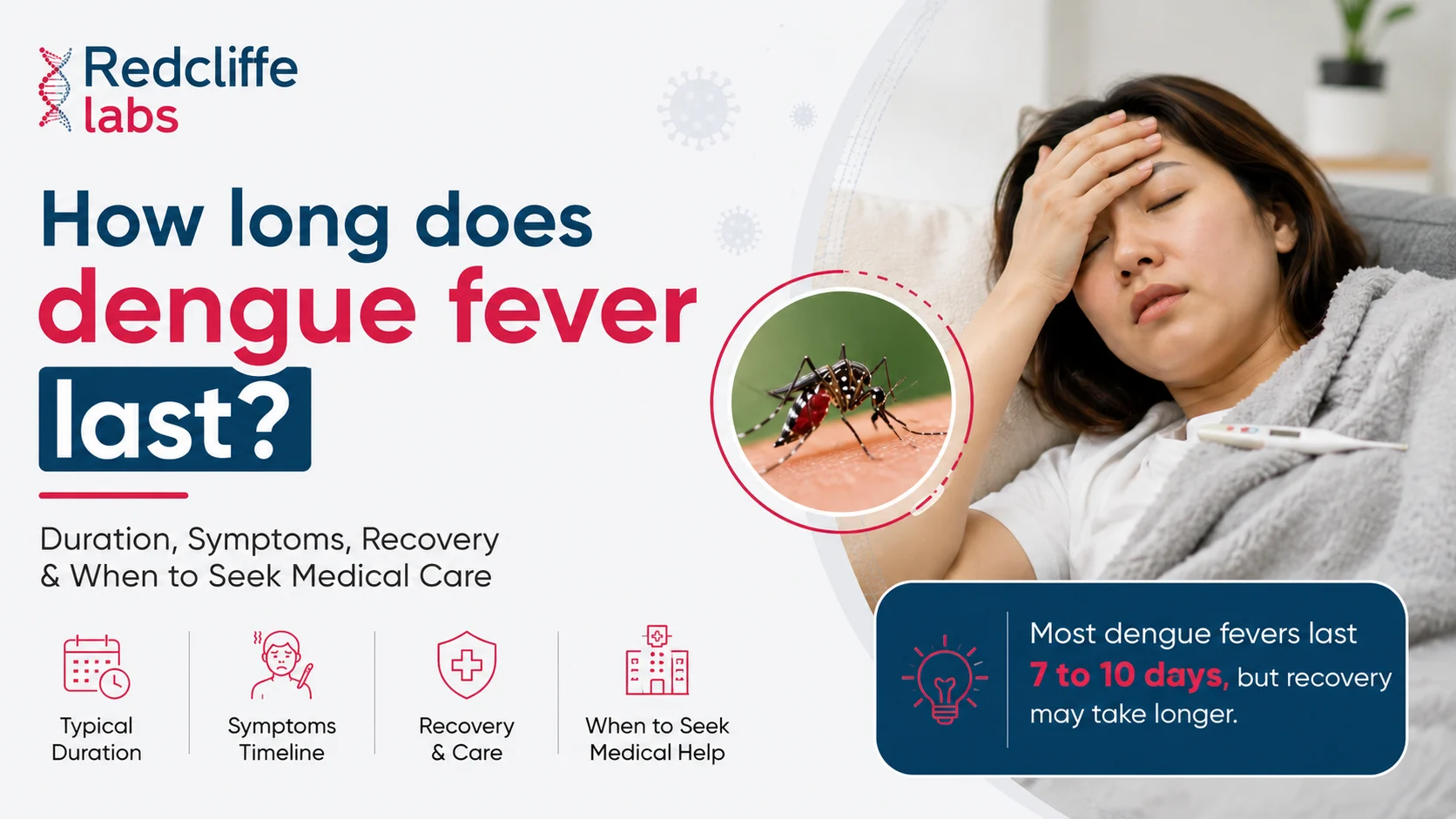 How Long Does Dengue Fever Last? Symptoms, Stages & Recovery Time