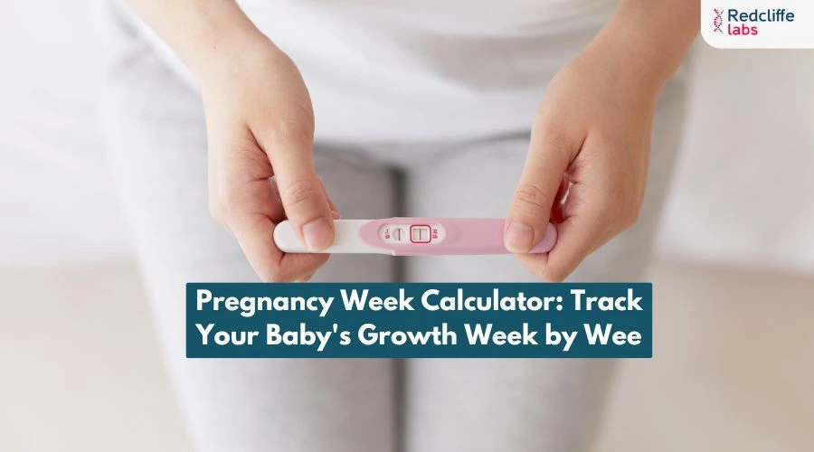 Pregnancy Week Calculator: Track Your Baby's Growth Week by Week