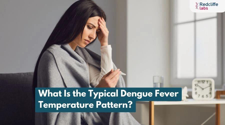 What Is the Typical Dengue Fever Temperature Pattern?