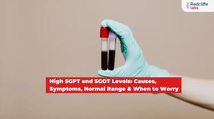 High SGPT and SGOT Levels: Causes, Symptoms, Normal Range & When to Worry