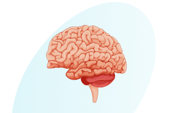 NeuroCliffe