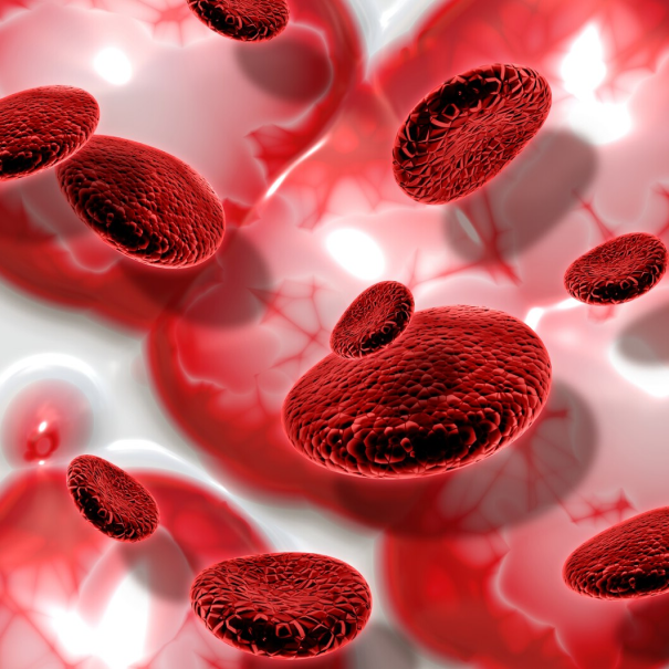 Hematological Cancer