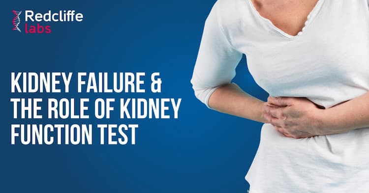 Kidney Failure and the Role of Kidney Function tests