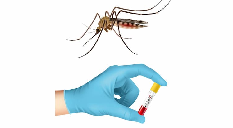 When to Do the Dengue Test: Key Factors to Consider