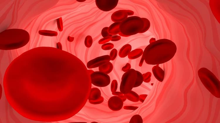 Blood Cancer Symptoms in Hindi – ब्लड कैंसर के शुरूआती लक्षण, कारण तथा इलाज