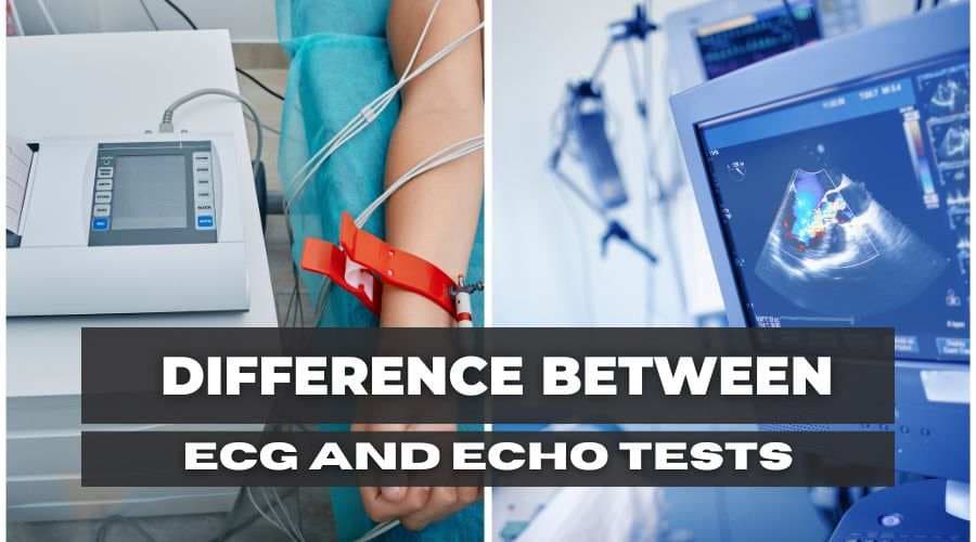 Difference Between ECG and ECHO Tests: Uses, Need, & More