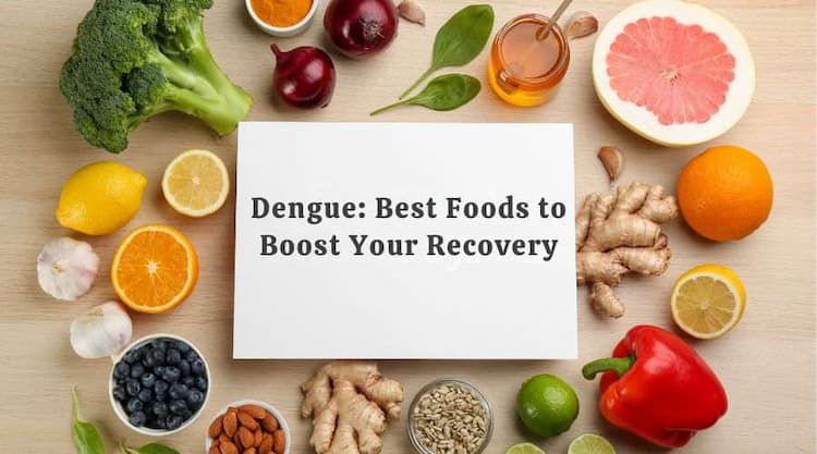 Dengue: Best Foods to Boost Your Recovery
