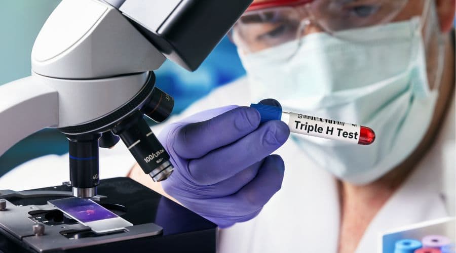 Triple H Test (HIV, HBV, HCV) - Price, Purpose, Results & More