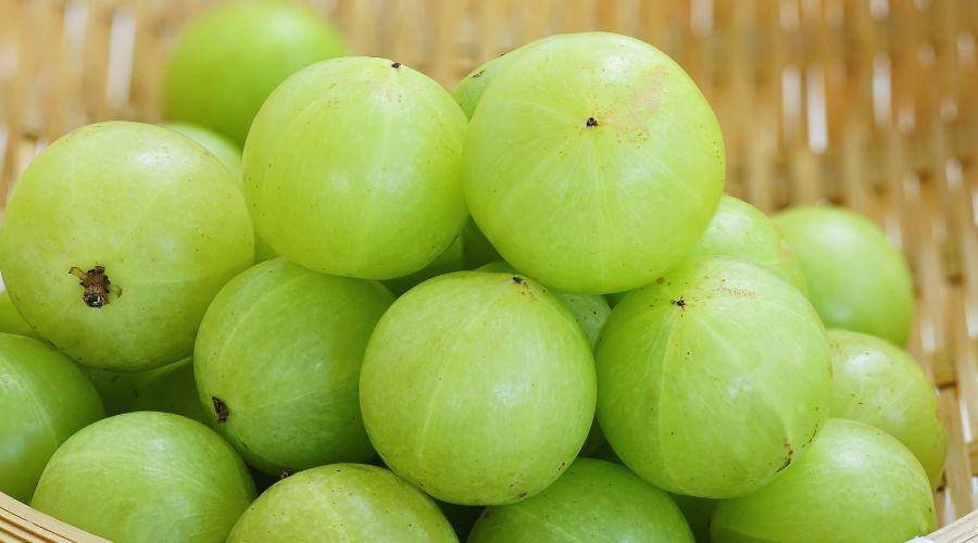 Amla