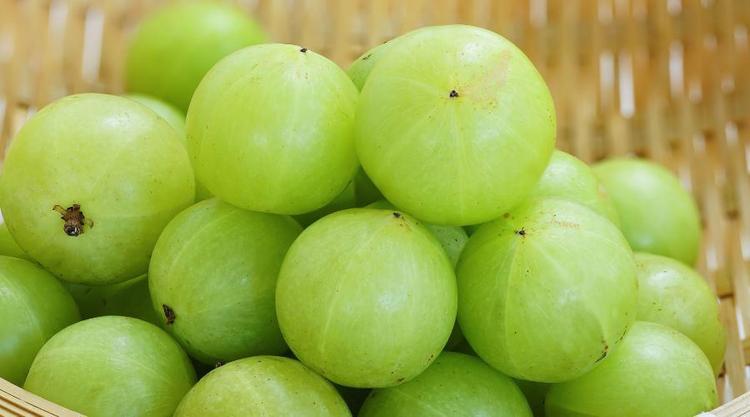 Amla Khane Ke Fayde: आंवला के सेहतमंद गुण