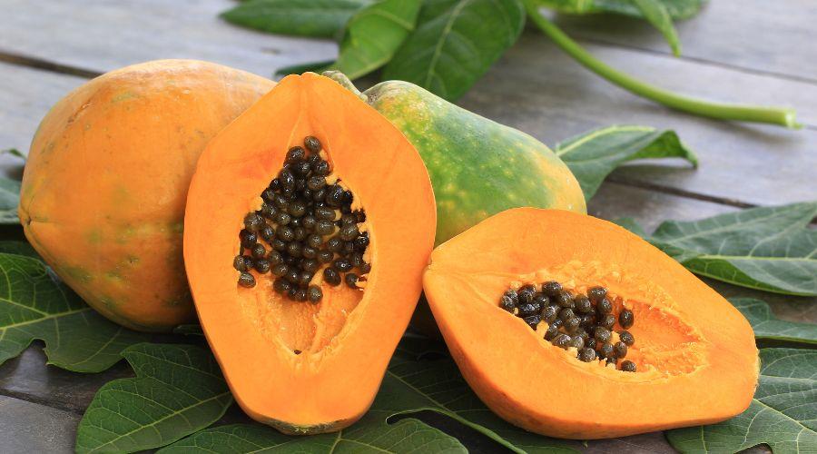 Papaya