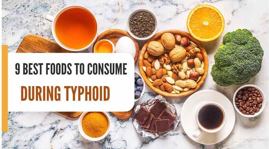 Best Foods for Thyroid Health: Boost Your Thyroid Function Naturally