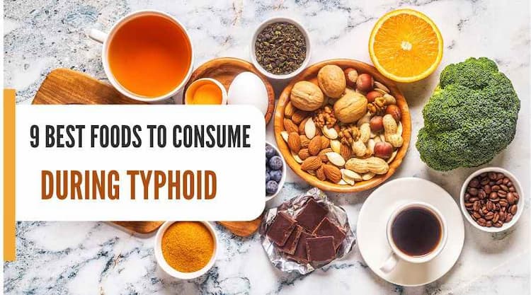 Best Foods for Thyroid Health: Boost Your Thyroid Function Naturally