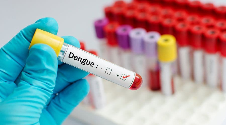 डेंग्यू लक्षणे