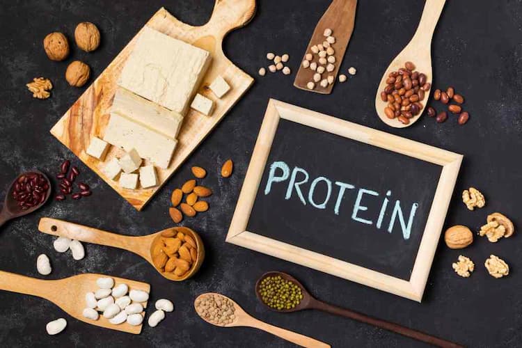 How Much Protein Does the Human Body Need Per Day