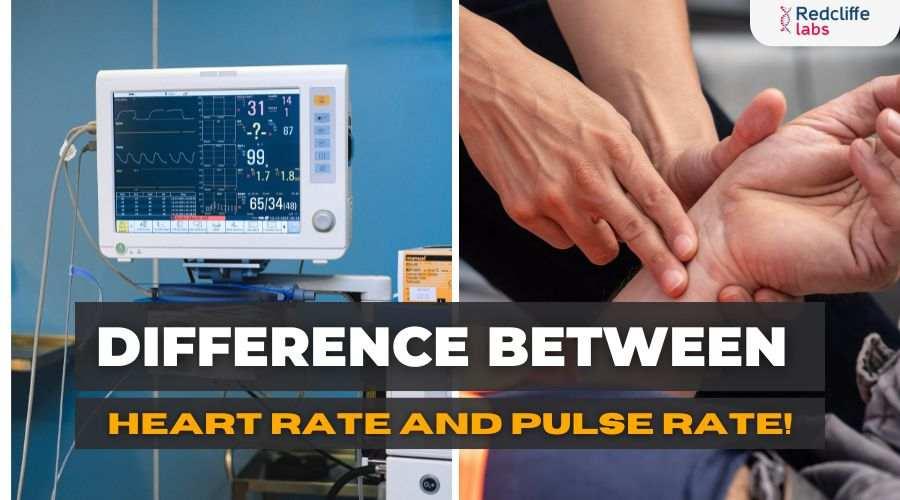 Difference Between Heart Rate and Pulse Rate!