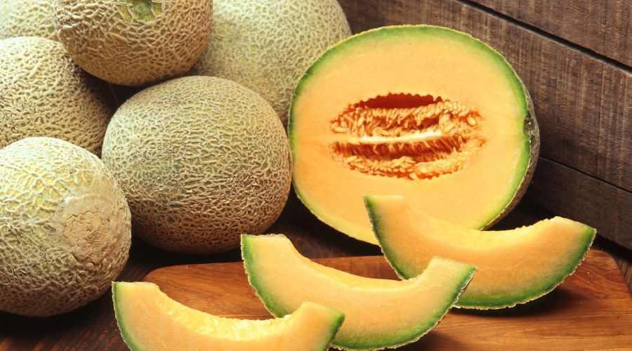 Muskmelon