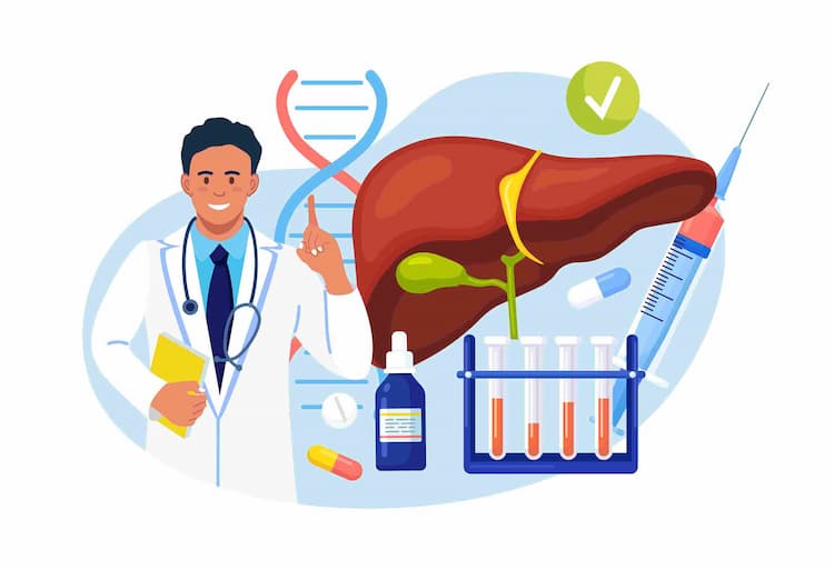 Blood Tests For Liver Function: Know the Comprehensive List