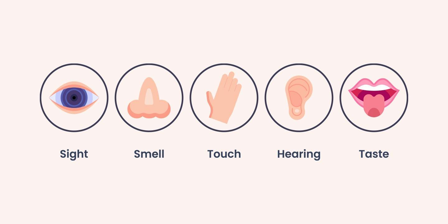 Five Sense Organs, Their Functions, and How to Keep Them Healthy