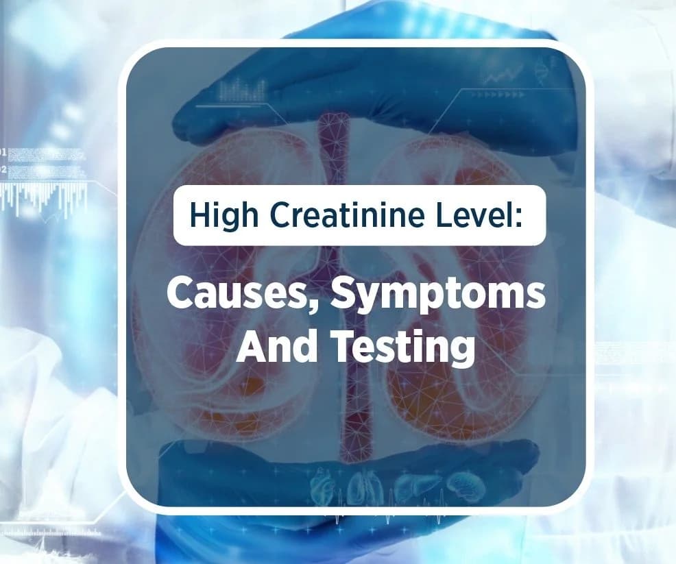 High Creatinine Level Causes Symptoms