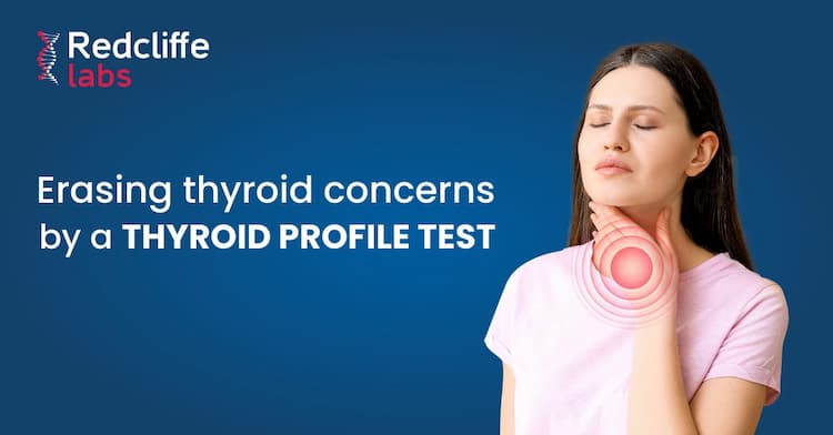 Erasing Thyroid Concerns by a Thyroid Profile test