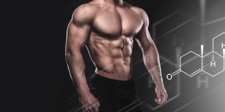Testosterone Booster: normal testosterone levels in men, how to boost testosterone?