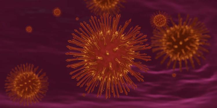 WHO Confirms first-ever outbreak of Marburg virus in Ghana, Know everything about Marburg