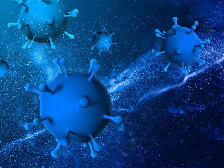 Nipah Virus Outbreaks: Causes, Symptoms, and Prevention