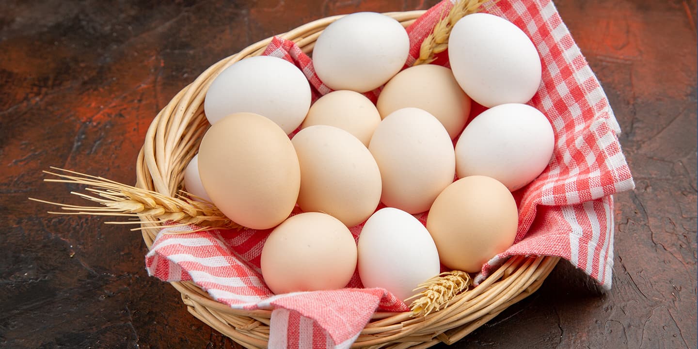 Protein in egg