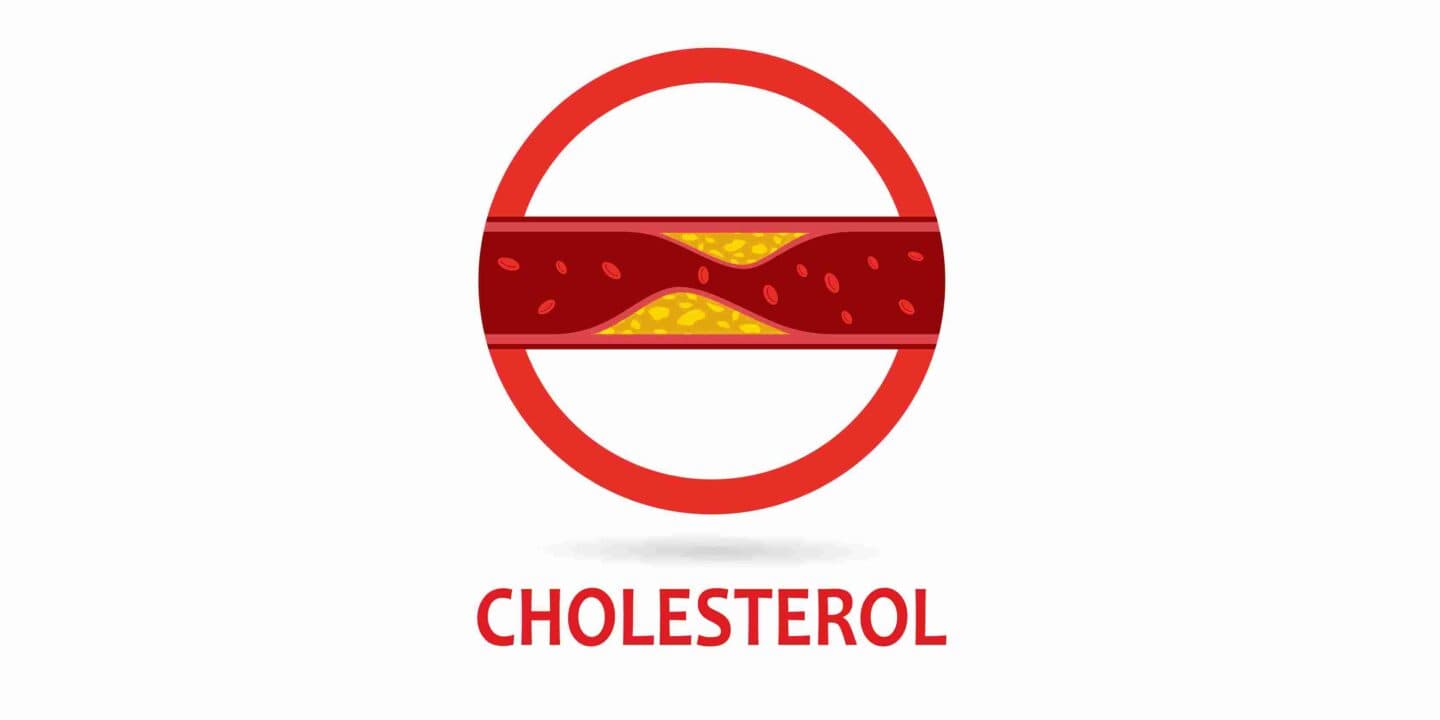 Cholesterol in Hindi
