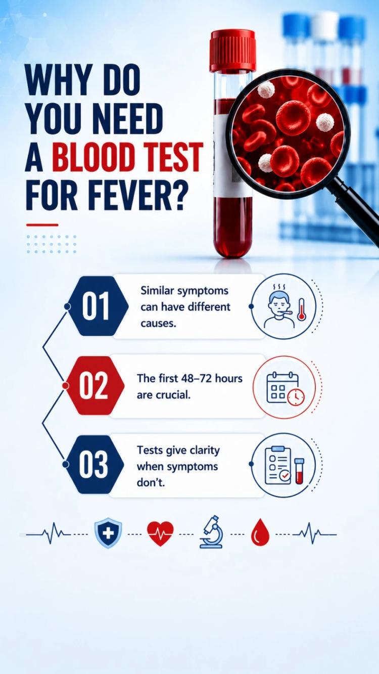 Why Do You Need a Blood Test for Fever?