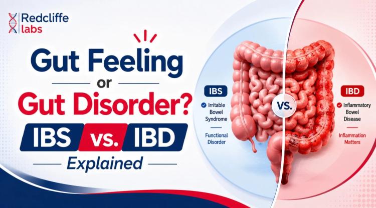 IBS vs IBD: How to Tell the Difference and Take Control of Your Gut Health