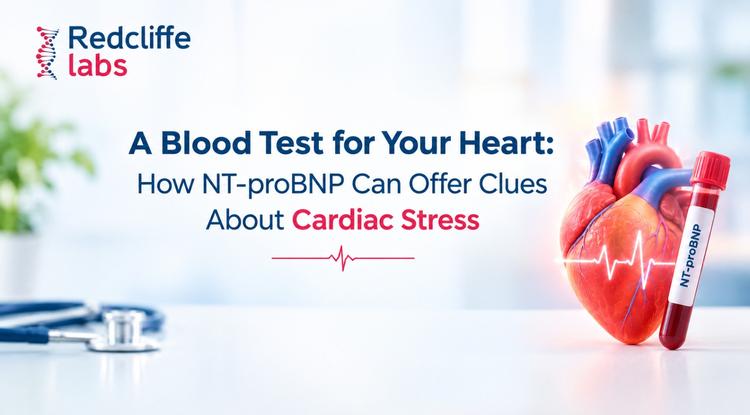 NT-proBNP Test: What Your Heart May Be Telling You Before Symptoms Appear