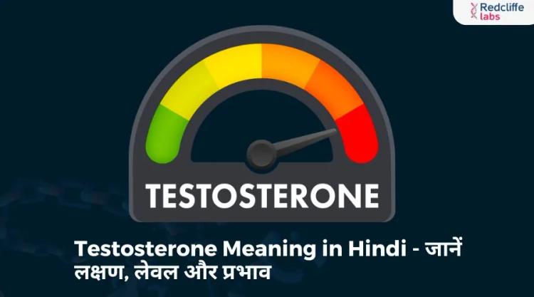 Testosterone Meaning in Hindi - जानें लक्षण, लेवल और प्रभाव