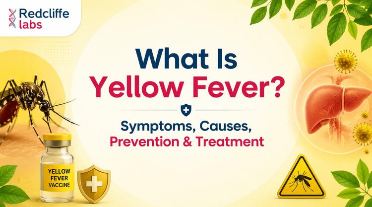 What Is Yellow Fever? Symptoms, Causes, Prevention & Treatment