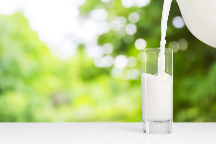 Protein in Milk: Types, Benefits, and Nutritional Facts