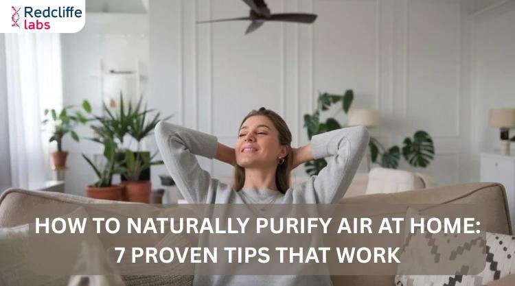 How to Naturally Purify Air at Home: 7 Proven Tips That Work
