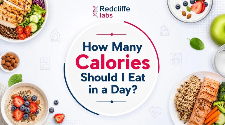 How Many Calories Should I Eat in a Day?