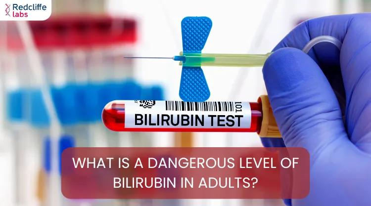 What Is a Dangerous Level of Bilirubin in Adults?