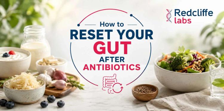 How to Reset Your Gut After Antibiotics?