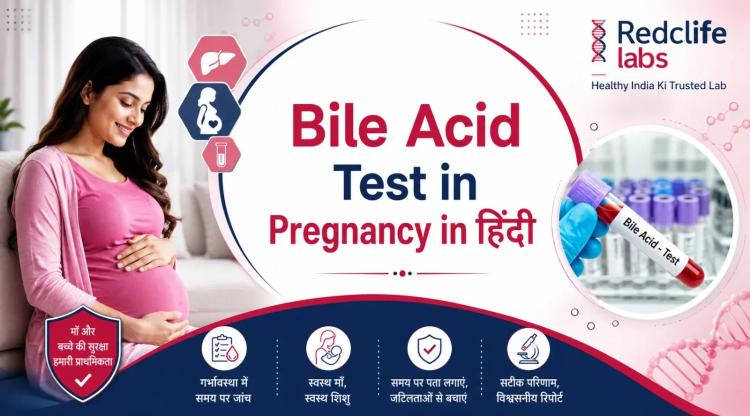 Bile Acid Test in Pregnancy in Hindi: जांच, नॉर्मल रेंज और रिपोर्ट