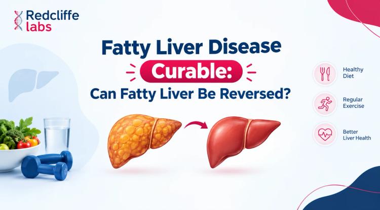 Fatty Liver Disease Curable: Can Fatty Liver Be Reversed?