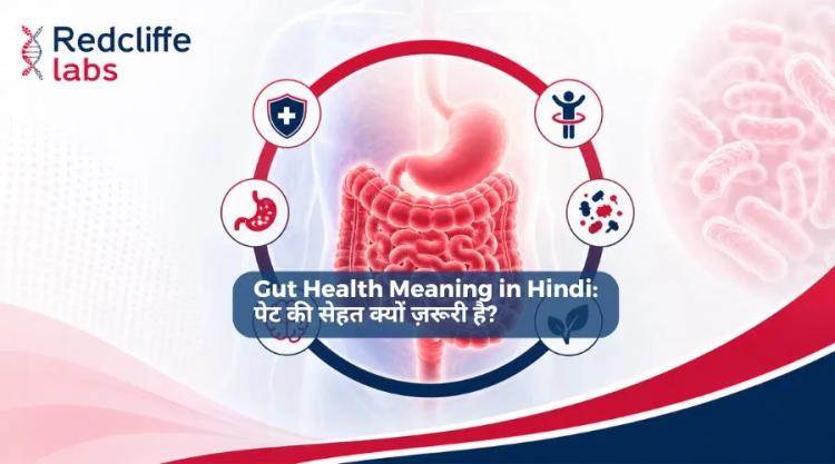 Gut Health Meaning in Hindi: पेट की सेहत क्यों ज़रूरी है?