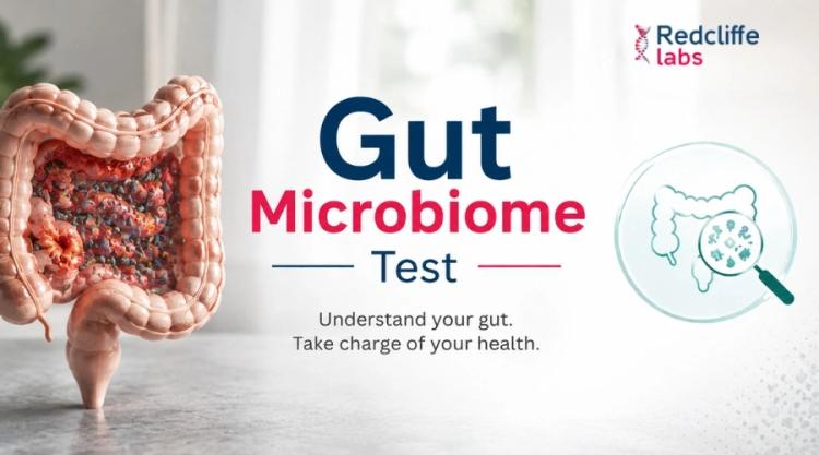 Gut Microbiome Test Price in India: What's Included & Is It Worth It?