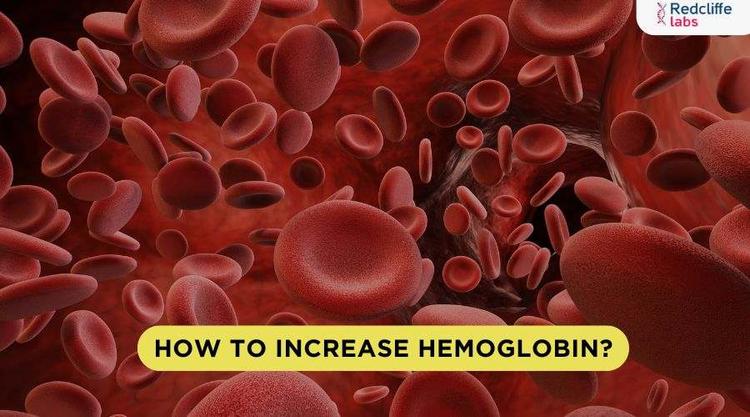 How to Increase Your Hemoglobin? 8 Proven Ways