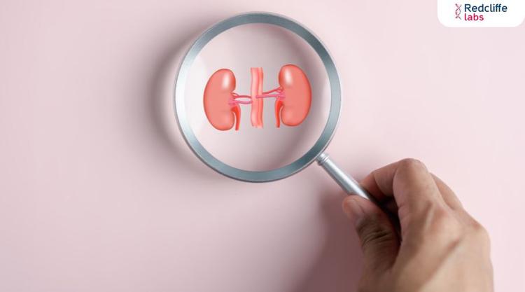 10 Benefits of Regular KFT for Monitoring Your Kidney Health