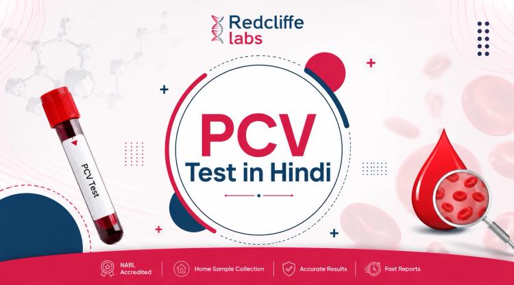 PCV Test in Hindi: मतलब, नॉर्मल रेंज, रिपोर्ट और कीमत